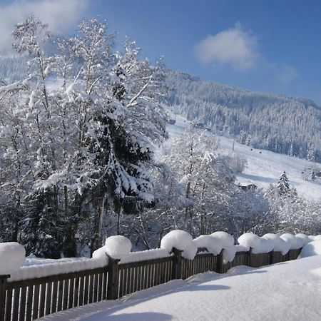 Alpbach Loft Apartment Luaran gambar